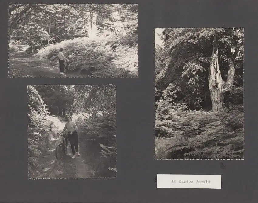 Fotoalbum mit 104 Fotografien, Auto Moskwitsch 402 Blauer Junge, DDR Bürger auf Reisen mit Auto, FKK, Fahrrad 33