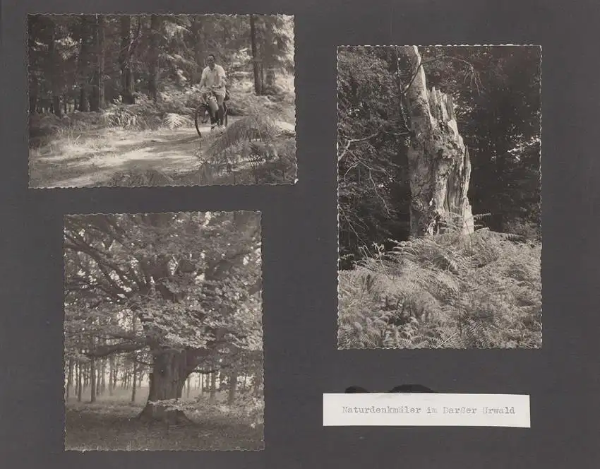 Fotoalbum mit 104 Fotografien, Auto Moskwitsch 402 Blauer Junge, DDR Bürger auf Reisen mit Auto, FKK, Fahrrad 34