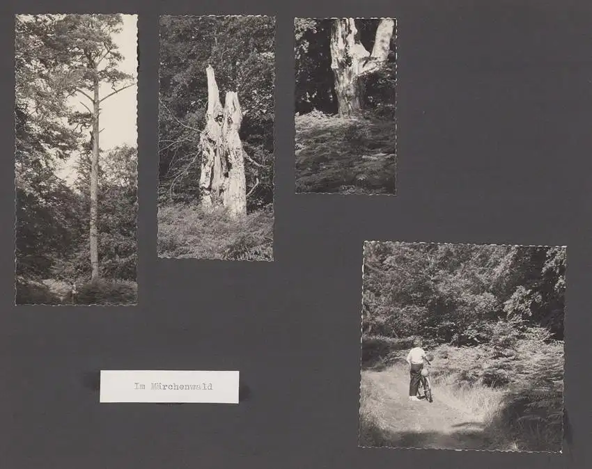 Fotoalbum mit 104 Fotografien, Auto Moskwitsch 402 Blauer Junge, DDR Bürger auf Reisen mit Auto, FKK, Fahrrad 35