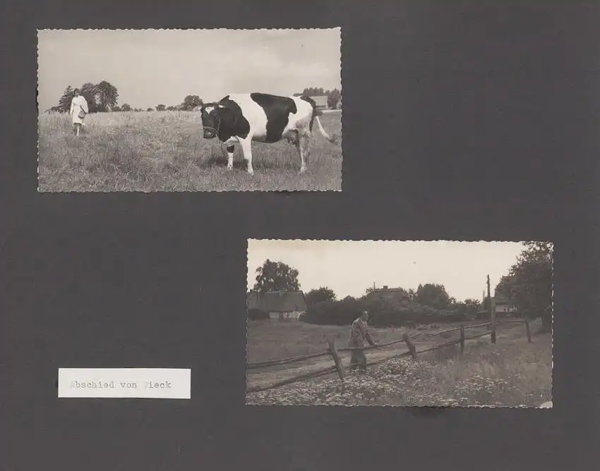 Fotoalbum mit 104 Fotografien, Auto Moskwitsch 402 Blauer Junge, DDR Bürger auf Reisen mit Auto, FKK, Fahrrad 9