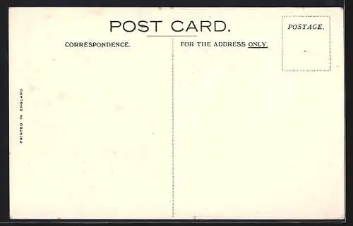 Künstler-AK Passagierschiff RMS Antonia, Cunard White Star