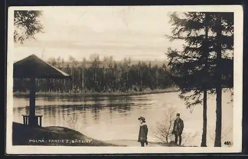 AK Polna, Partie z Breziny