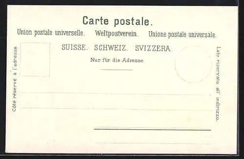 AK Spiez, Ortsansicht mit Schloss, Thunersee und Bergpanorama