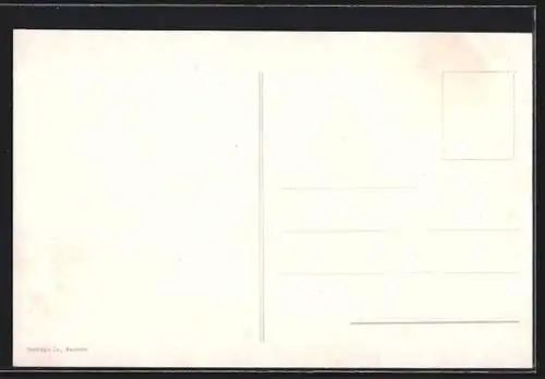 AK Neuchatel, Vue generale et les alpes