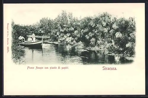 AK Siracusa, Fiume Anapo con piante di papiri
