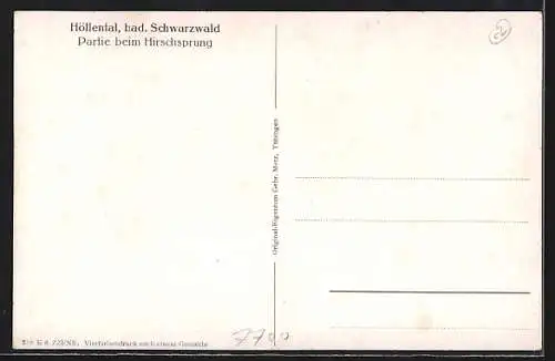 AK Höllsteig, Partie beim Hirschsprung im Höllental, Eisenbahn