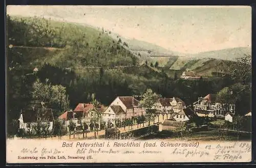 AK Bad Petersthal i. Renchthal, Ortsansicht aus der Vogelschau