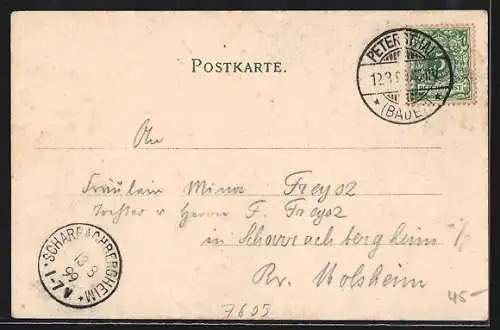 AK Bad Petersthal i. Renchthal, Ortsansicht aus der Vogelschau