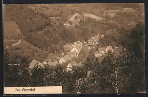 AK Bad Petersthal, Blick auf die Ortschaft im Wald gelegen