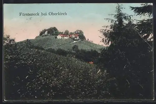 AK Oberkirch / Schwarzwald, Fürsteneck und Umgebung