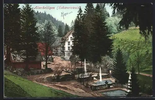 AK Allerheiligen /Schwarzwald, Ortspartie mit Brunnen
