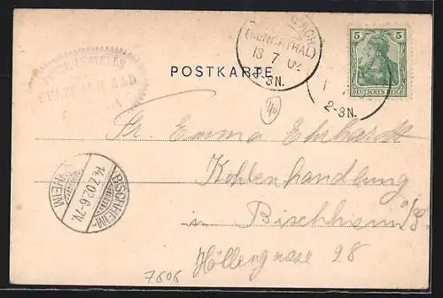 AK Bad Sulzbach, Ortsansicht