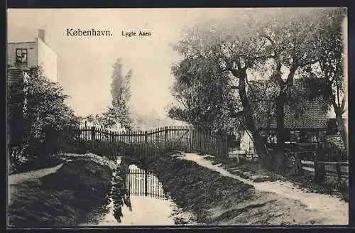 AK Kobenhavn, Lygte Aaen