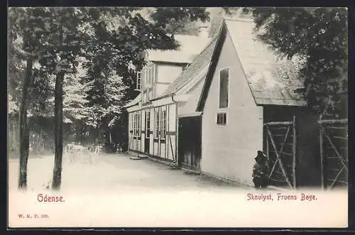 AK Odense, Skovlyst, Fruens Boge