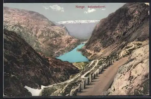 AK Seljestadjuvet, Ortsansicht mit Fjord aus der Vogelschau