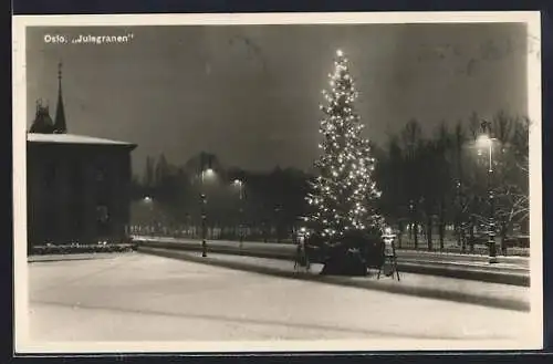AK Oslo, Julegranen