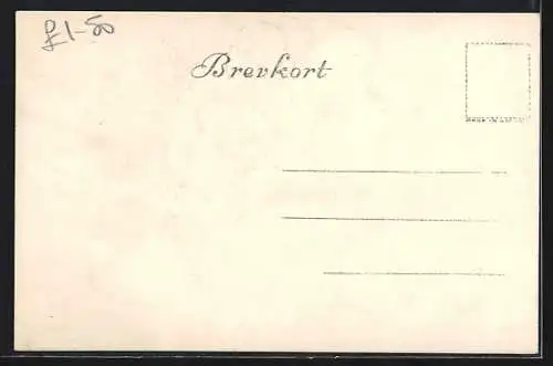 AK Bergen, Utsikt fra Ulrikken