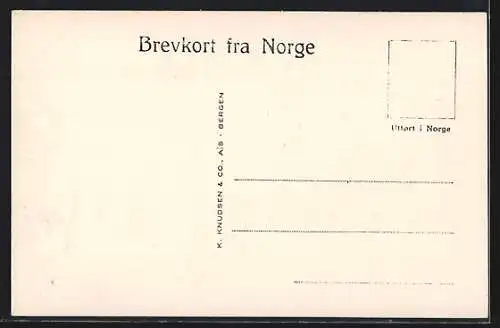 AK Stalheim, Hotel Stalheim