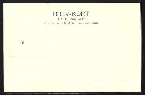 AK Nordland, Midnatssol