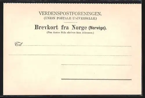 AK Trondhjem, Ortsansicht aus der Vogelschau