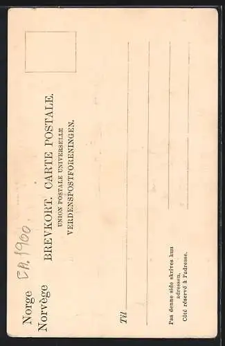 AK Trondhjem, Domkirke