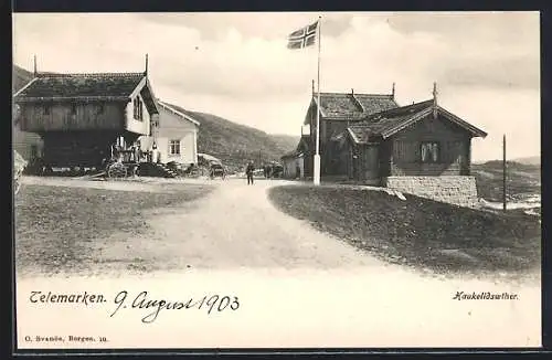 AK Telemarken, Haukelidsaether