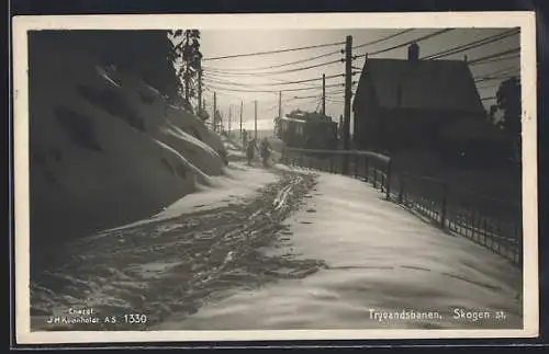 AK Oslo, Tryvandsbanen, Skogen st.