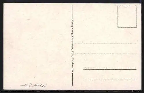 AK Daun /Eifel, Ortsansicht mit Feldern