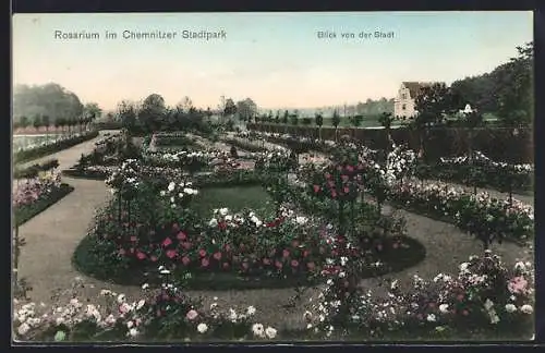 AK Chemnitz, Rosarium im Stadtpark