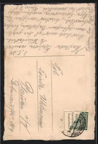 Künstler-AK Braunschweig, Dankwarderode u. Rathaus