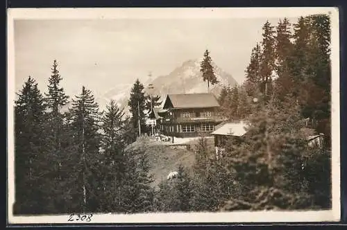 AK Schwaz i. Tirol, Alpen-Gasthof Hubertushaus