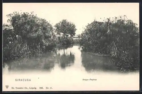 AK Siracusa, Anapo-Papirus