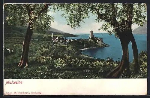 Künstler-AK Malcesine, Blick vom Waldrand, Burg