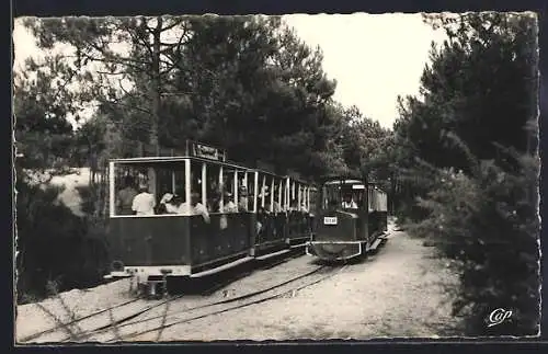 AK Cap Ferret, Le Petit Train à travers la forêt de pins