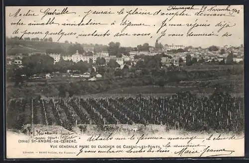 AK Cubzac-les-Ponts, Vue générale prise du clocher avec vignobles en premier plan