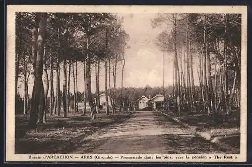 AK Arès, Promenade dans les pins vers la pension The Rest