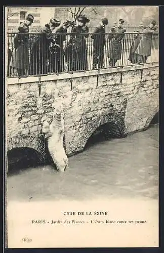AK Paris, Crue de la Seine, Jardin des Plantes, l`ours blanc conte ses peines
