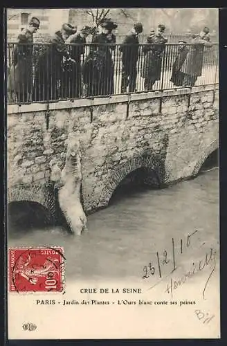 AK Paris, Jardin des Plantes, L`Ours blanc conte ses peines pendant la crue de la Seine