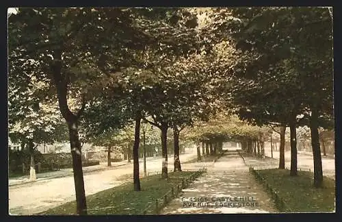 AK Folkestone, Castle Hill Avenue