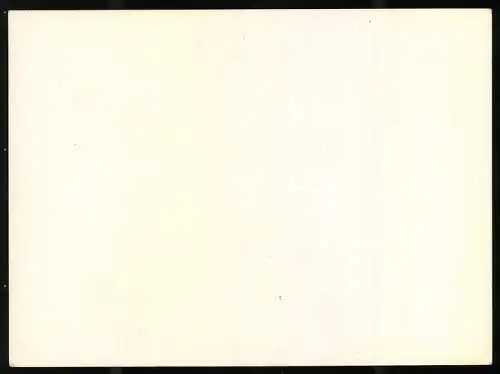 Fotografie unbekannter Fotograf, Ansicht Talcahuana, Blick nach der Stadt mit Williamson-Balfour Company Lagerhäusern