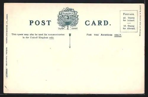 AK Passagierschiff Isle of Man S.S. Prince of Wales, Raddampfer