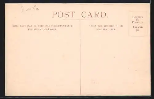 AK Union Castle Liner RMS Walmer Castle vor der Küste