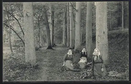 AK Tervueren, Parc de Tervueren, Sous bois