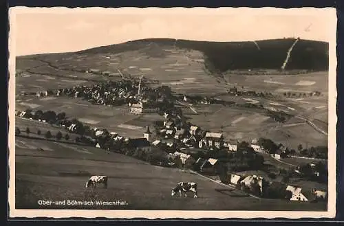 AK Oberwiesenthal / Erzgebirge, Totalansicht mit Böhmisch-Wiesenthal und Umgebung