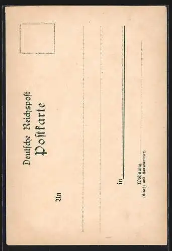 Lithographie Freiburg / Breisgau, Totalansicht mit dem Münster