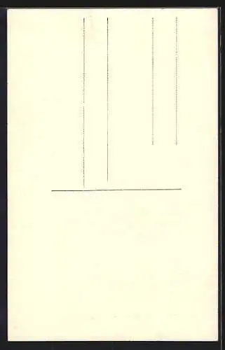 AK Nürnberg, Stadttheater, Vorhang