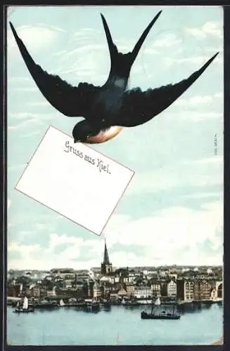 AK Honnef a. Rhein, Gesamtansicht, Vogel mit Karte