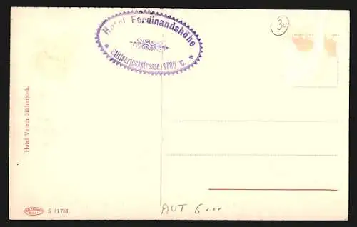 AK Ferdinandshöhe, Blick zum Hotel, Pferdekutsche