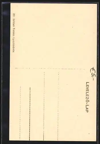 AK Gyulafehérvár / Alba Iulia, Róm. kath. székesegyház, Röm. kath. Domkirche