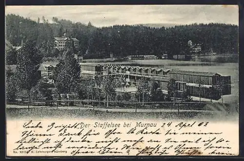 AK Murnau, Staffelsee mit Blick auf den Ort